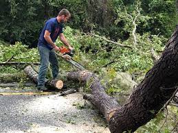 Best Aeration Services  in Wagoner, OK