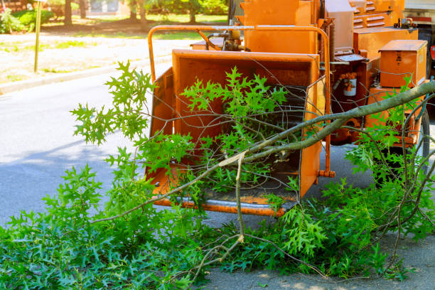 Best Utility Line Clearance  in Wagoner, OK