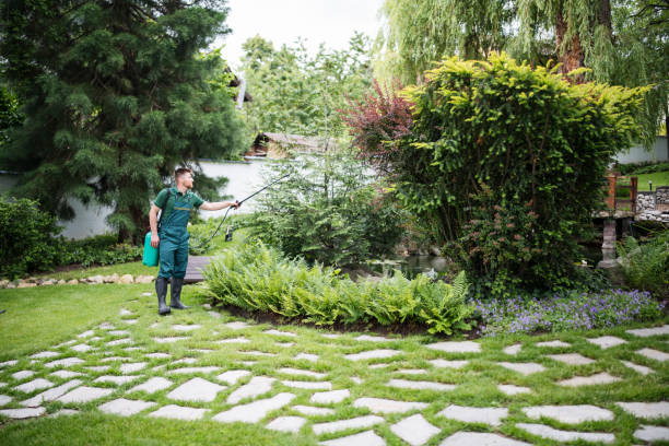 Best Pest Control for Lawns  in Wagoner, OK
