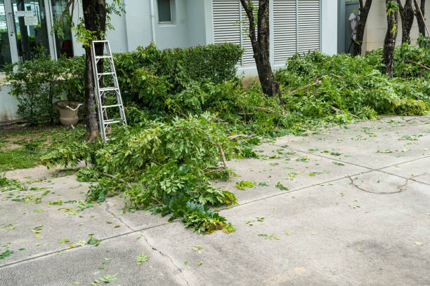 Best Hedge Trimming  in Wagoner, OK