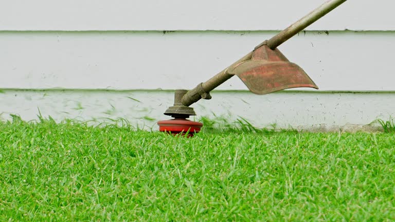 Best Lawn Grading and Leveling  in Wagoner, OK