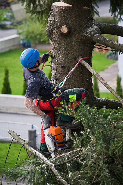 Best Mulching Services  in Wagoner, OK