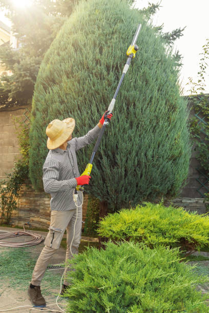 Best Storm Damage Tree Cleanup  in Wagoner, OK